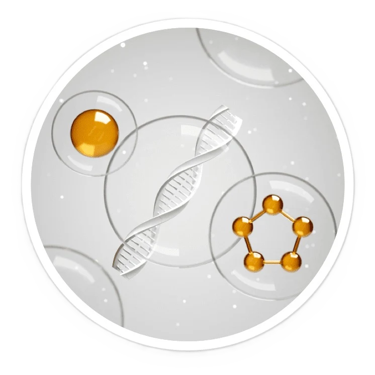 DigestSync Digestive Health Supplement